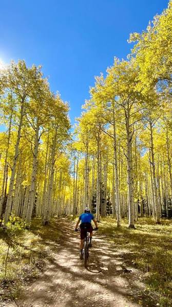 Mountain biker exploring the Uncompahgre Plateau