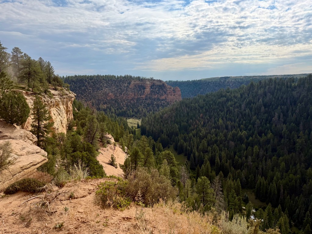 Scenic overlook from the Uncompahgre Plateau